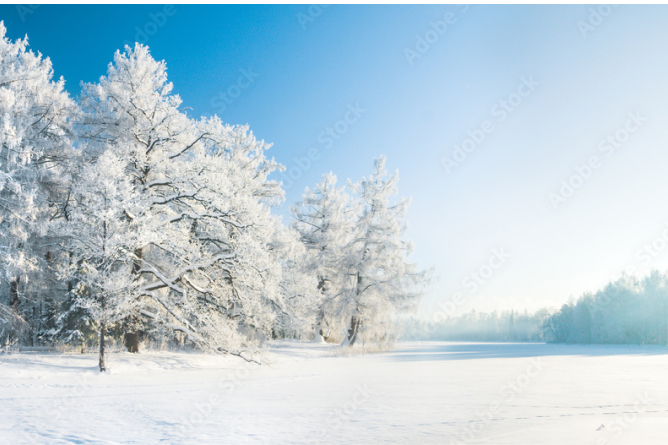 冬期休暇のお知らせ （コピー） （コピー） （コピー） （コピー）のサムネイル